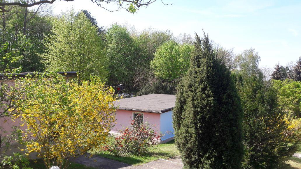 Bungalows Zur Alten Faehre Werder  Extérieur photo
